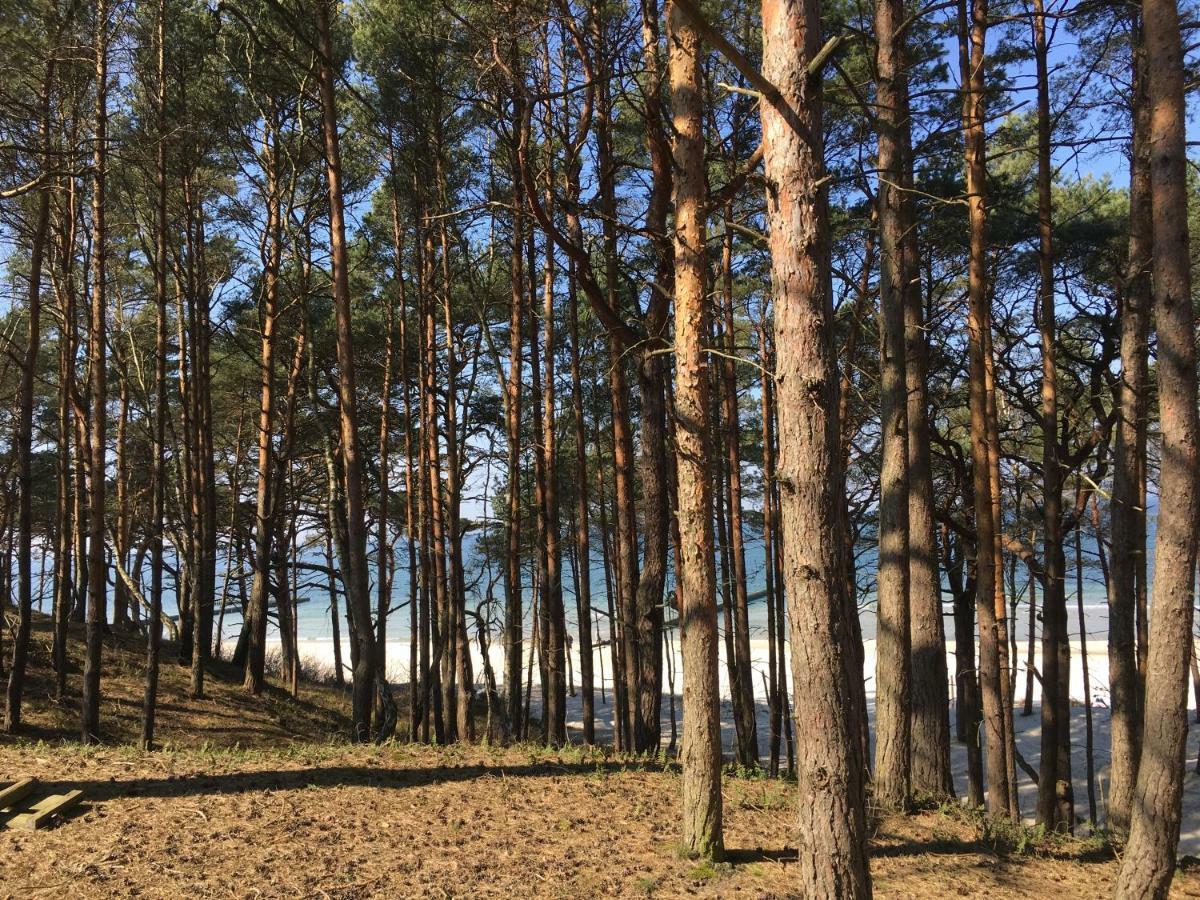 Apartamenty I Pokoje Magnolia Dźwirzyno Exterior foto